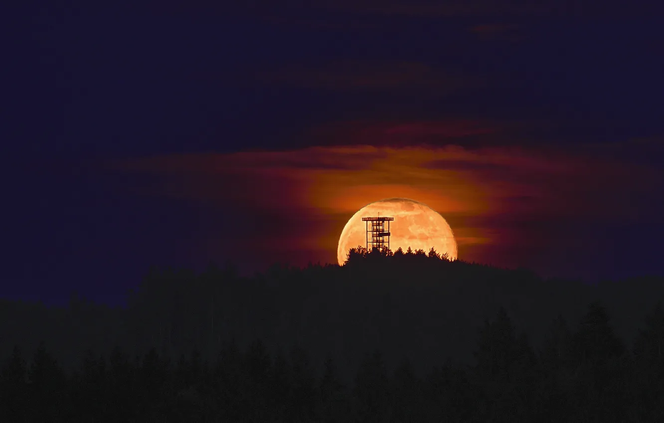 Photo wallpaper forest, sunset, the moon, tower