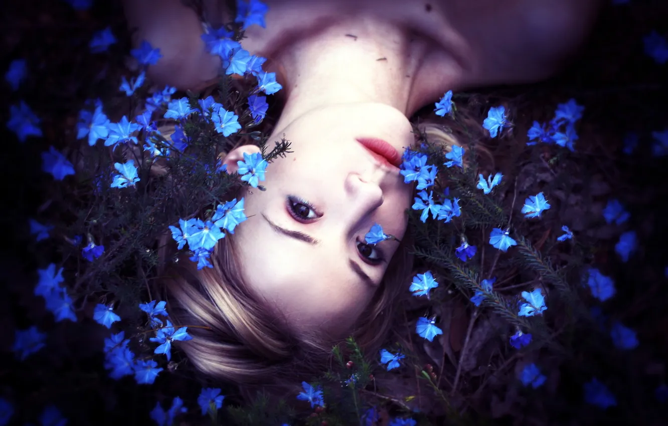 Photo wallpaper girl, flowers, background
