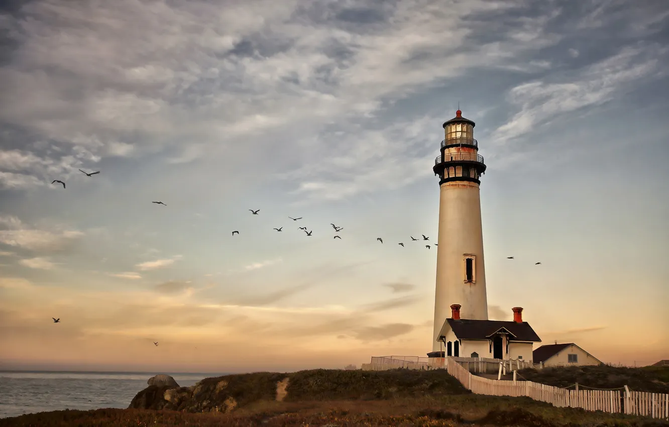 Photo wallpaper sea, clouds, flight, lighthouse, seagulls, twilight