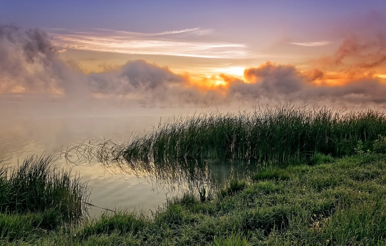 Photo wallpaper landscape, fog, morning