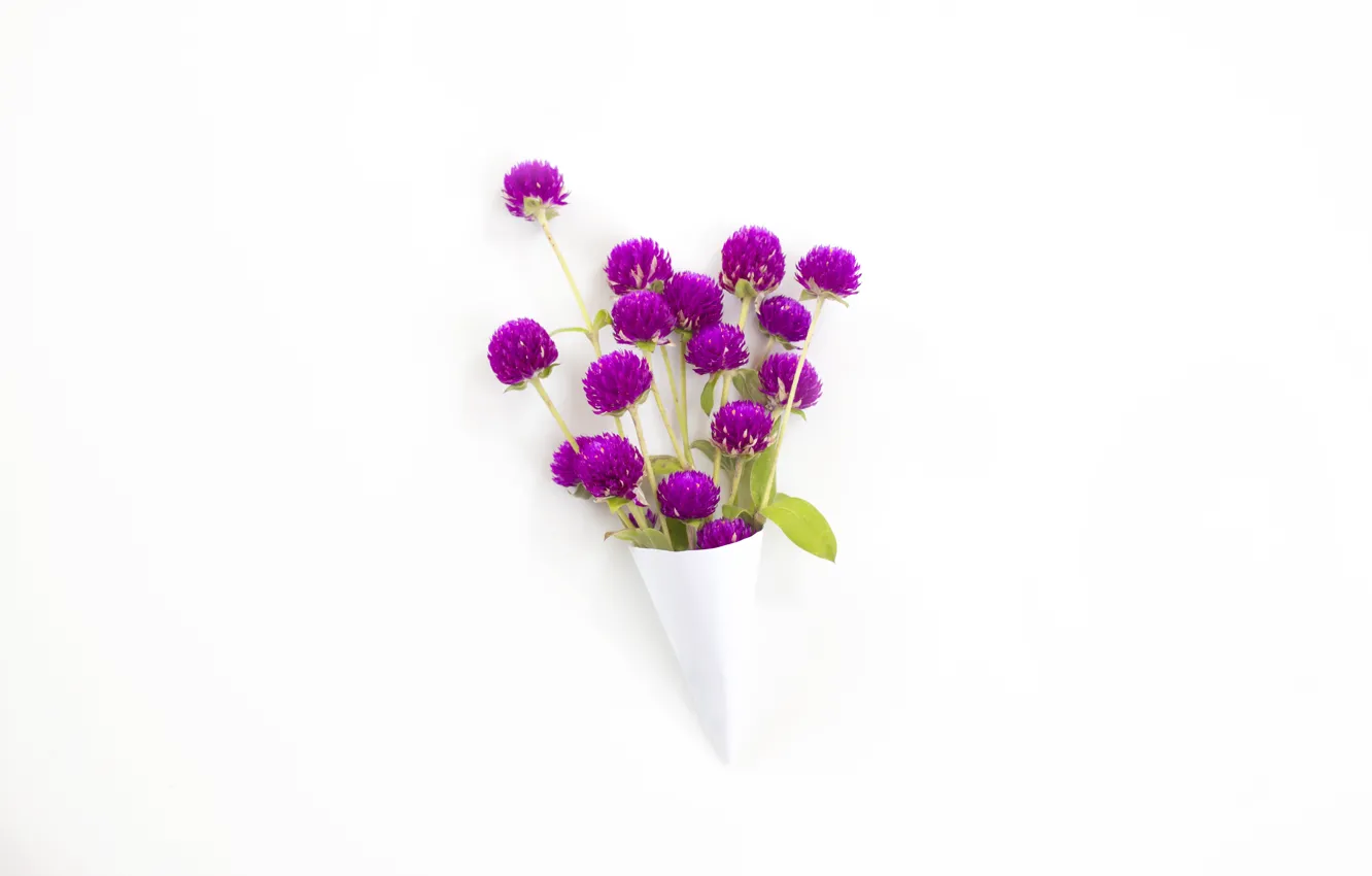 Photo wallpaper Flowers, bouquet, clover