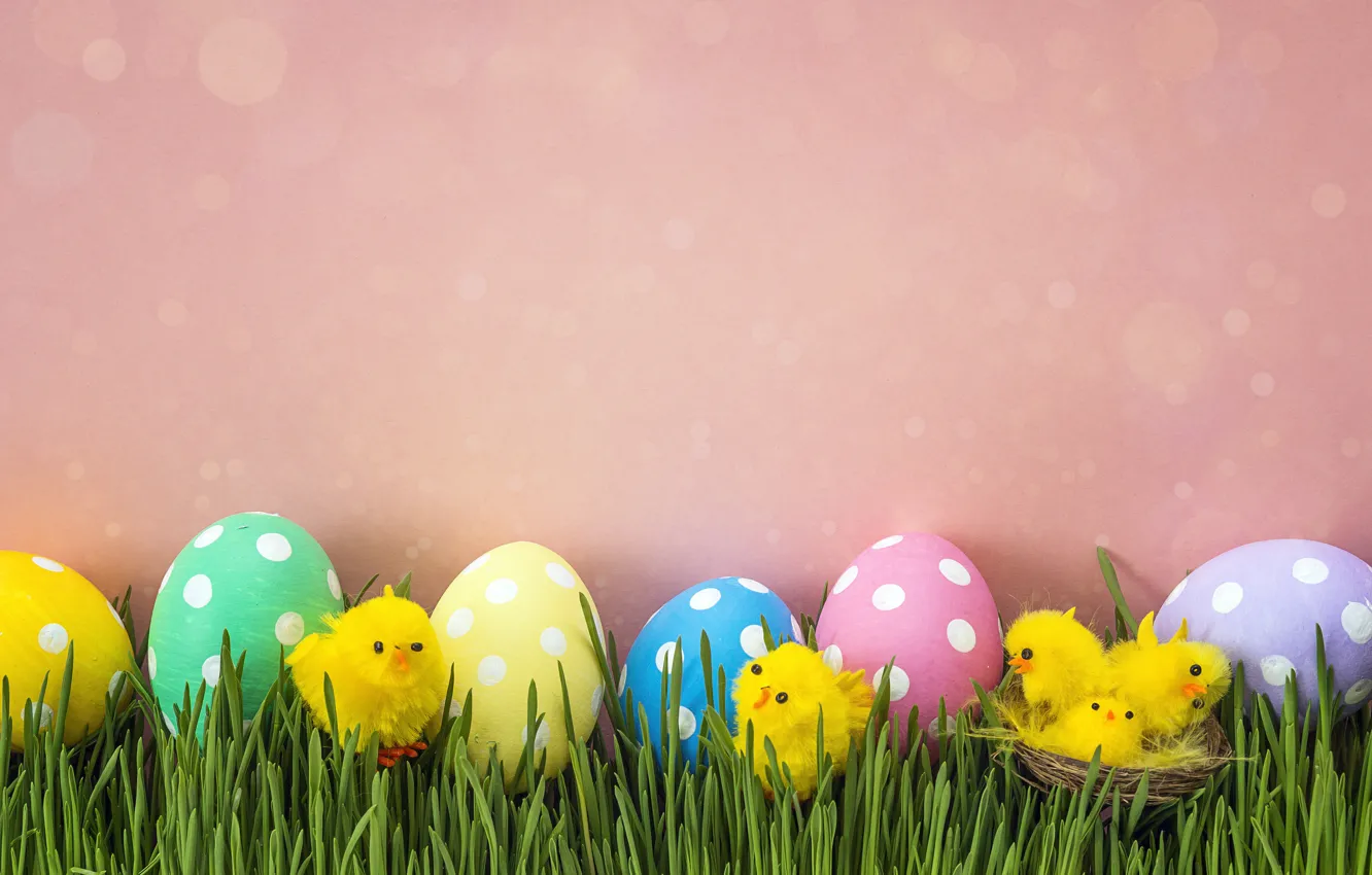 Photo wallpaper grass, chickens, spring, Easter, pink, spring, Easter, eggs
