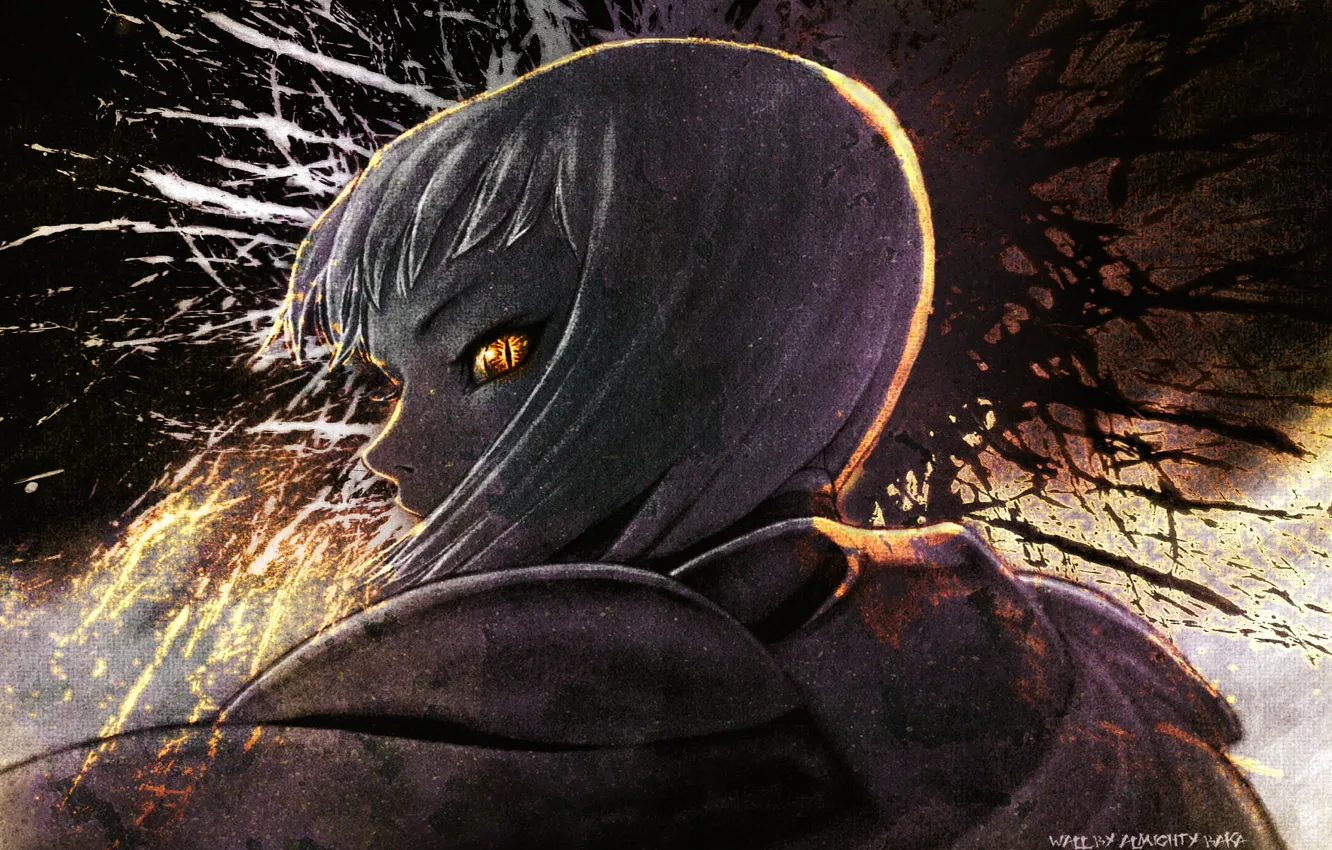 Photo wallpaper look, eyes, fire, Claymore