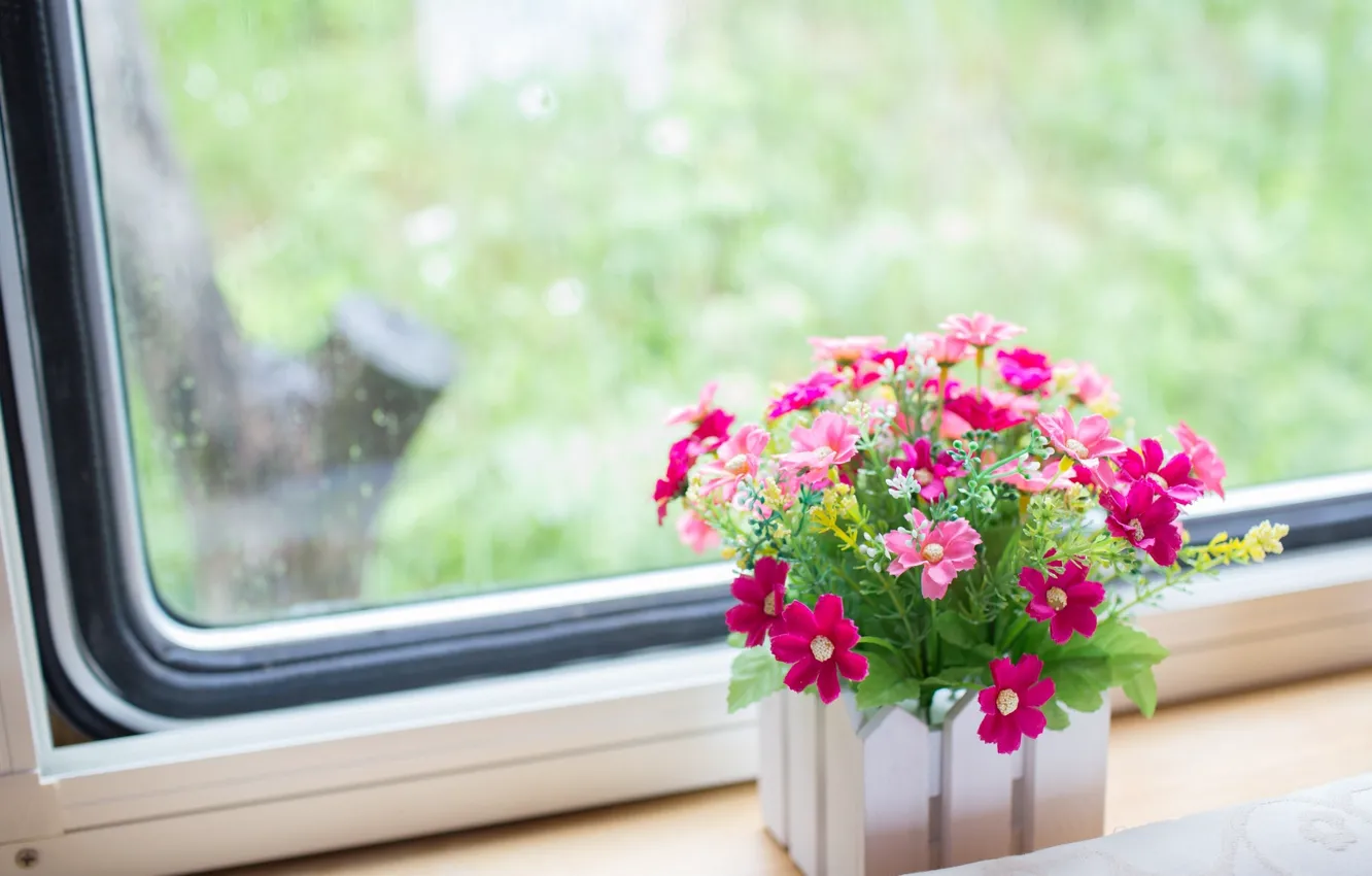 Photo wallpaper flowers, window, sill, pink, pot