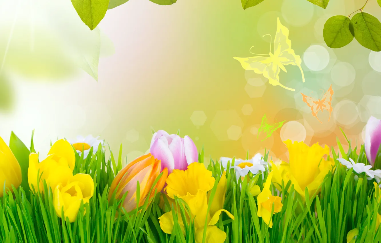 Photo wallpaper grass, flowers, spring, tulips