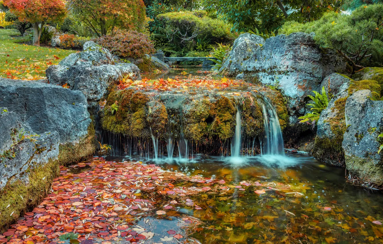 Photo wallpaper autumn, leaves, nature, Park, photo, waterfall, moss, Germany