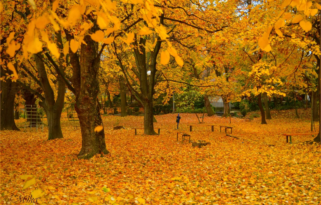 Photo wallpaper autumn, trees, Park, foliage, falling leaves, trees, park, autumn