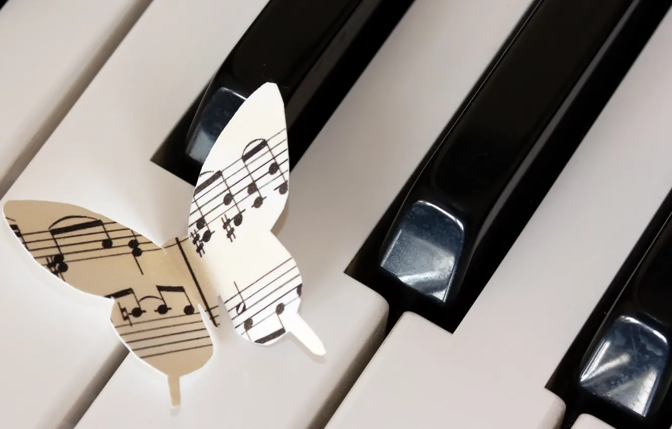 Photo wallpaper notes, music, butterfly, piano