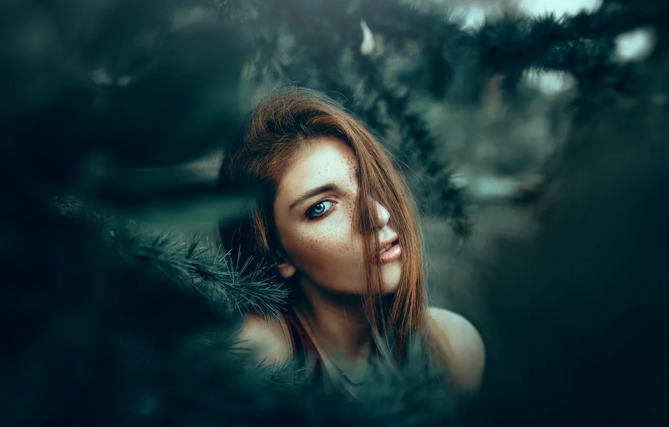 Photo wallpaper freckles, herringbone, redhead, needles, Ronny Garcia, Shifting