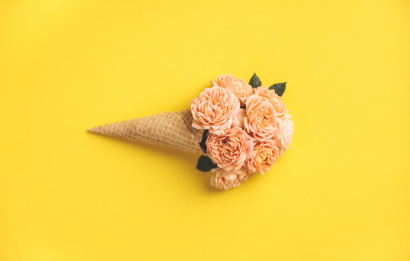 Photo wallpaper yellow, background, roses, buds, horn, waffle