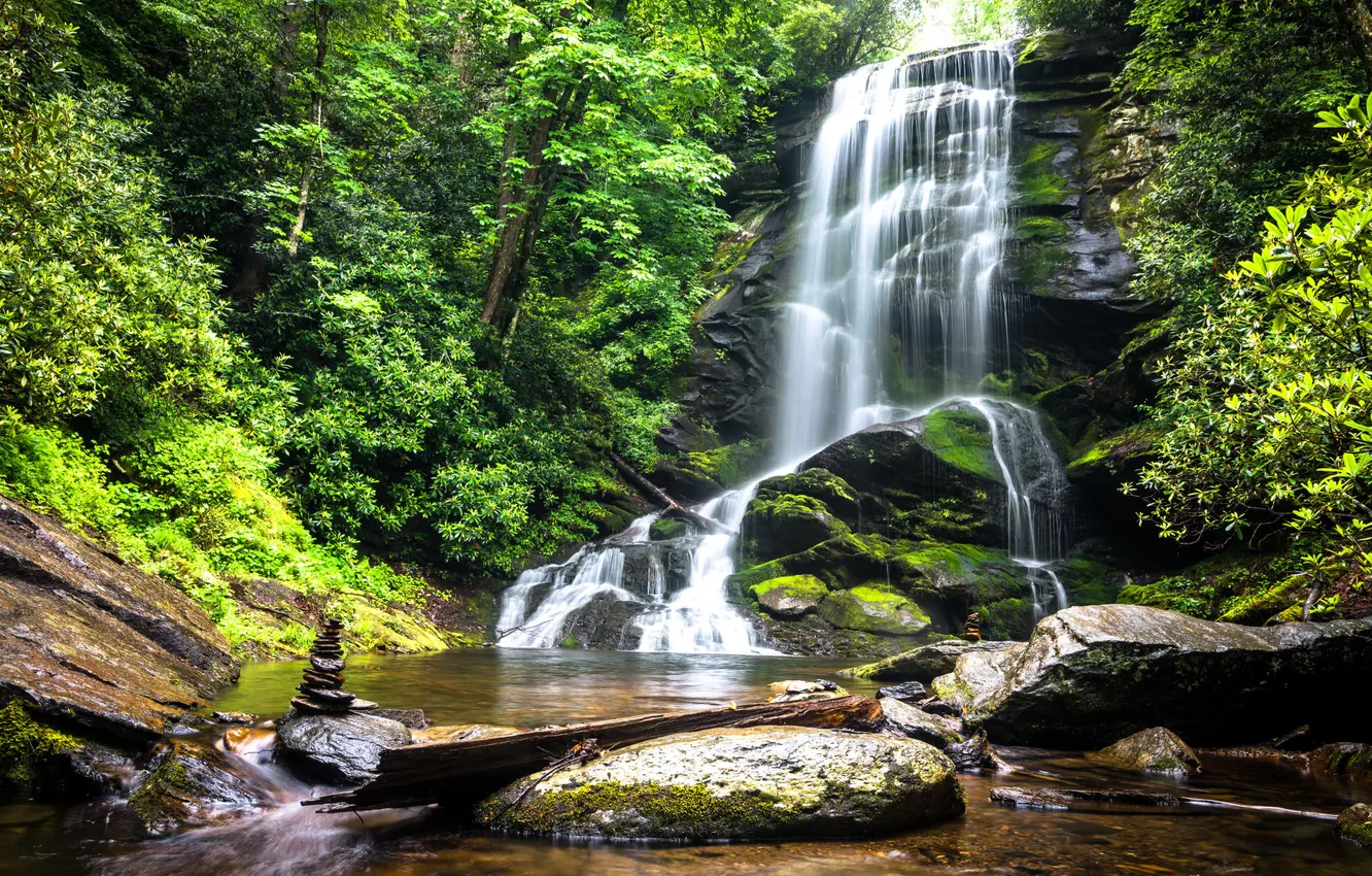 Photo wallpaper greens, forest, trees, nature, pebbles, stones, rocks, shore