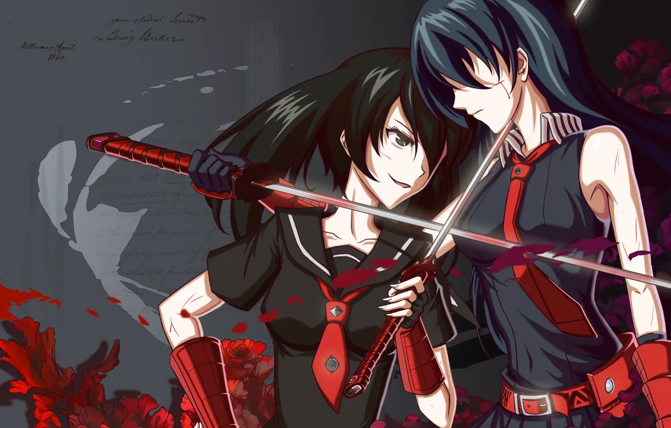 Photo wallpaper girls, katana, Akame, Akame ga kill, Kurome, akame GA kill