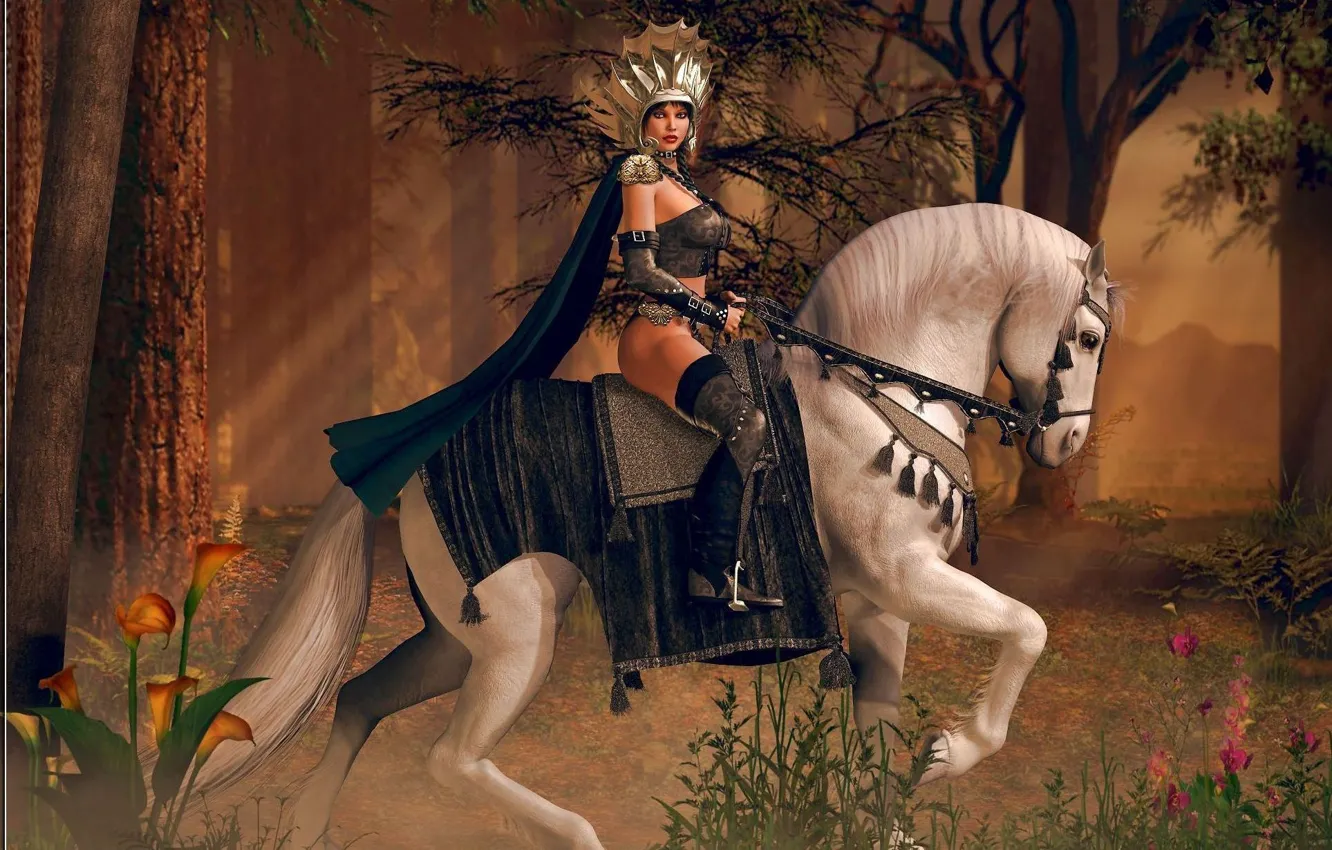 Photo wallpaper girl, art, Princess, Amazon