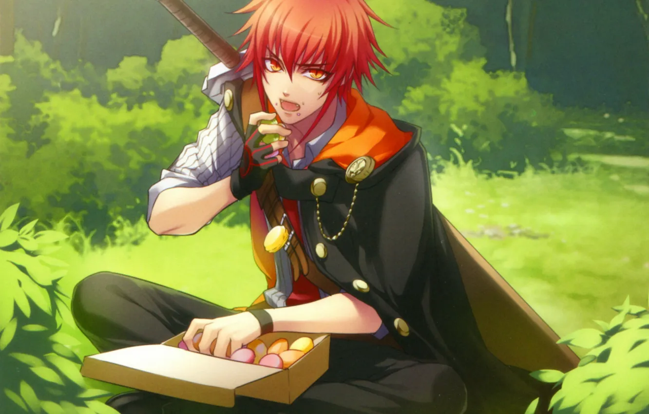 Photo wallpaper box, sweets, red, cloak, wand of fortune, visual novel, lagi el nagil, on the meadow