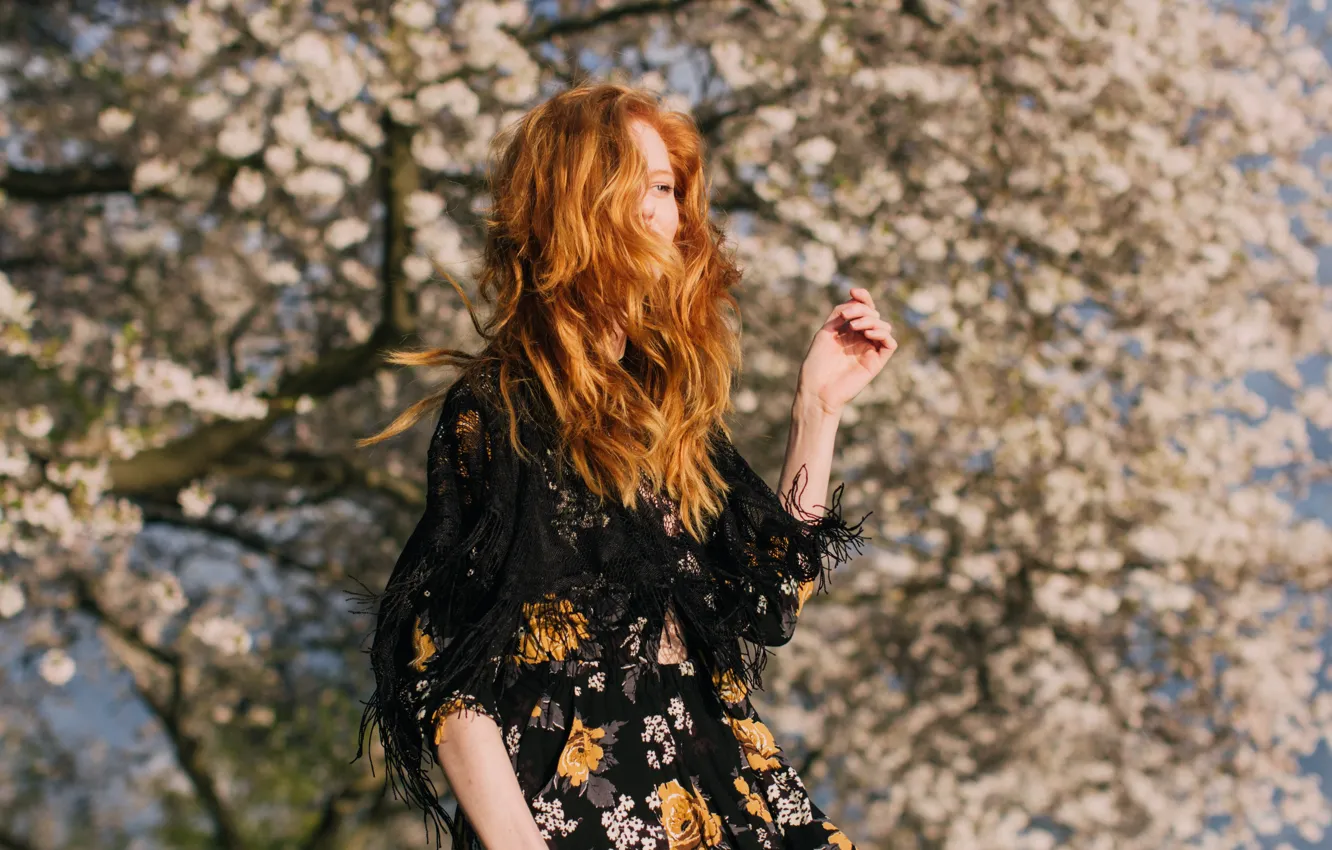 Photo wallpaper girl, hair, red