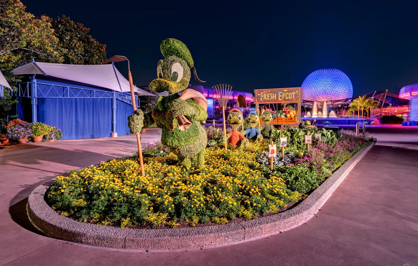 Photo wallpaper night, night lights, Paris, Disney, Mickey mouse