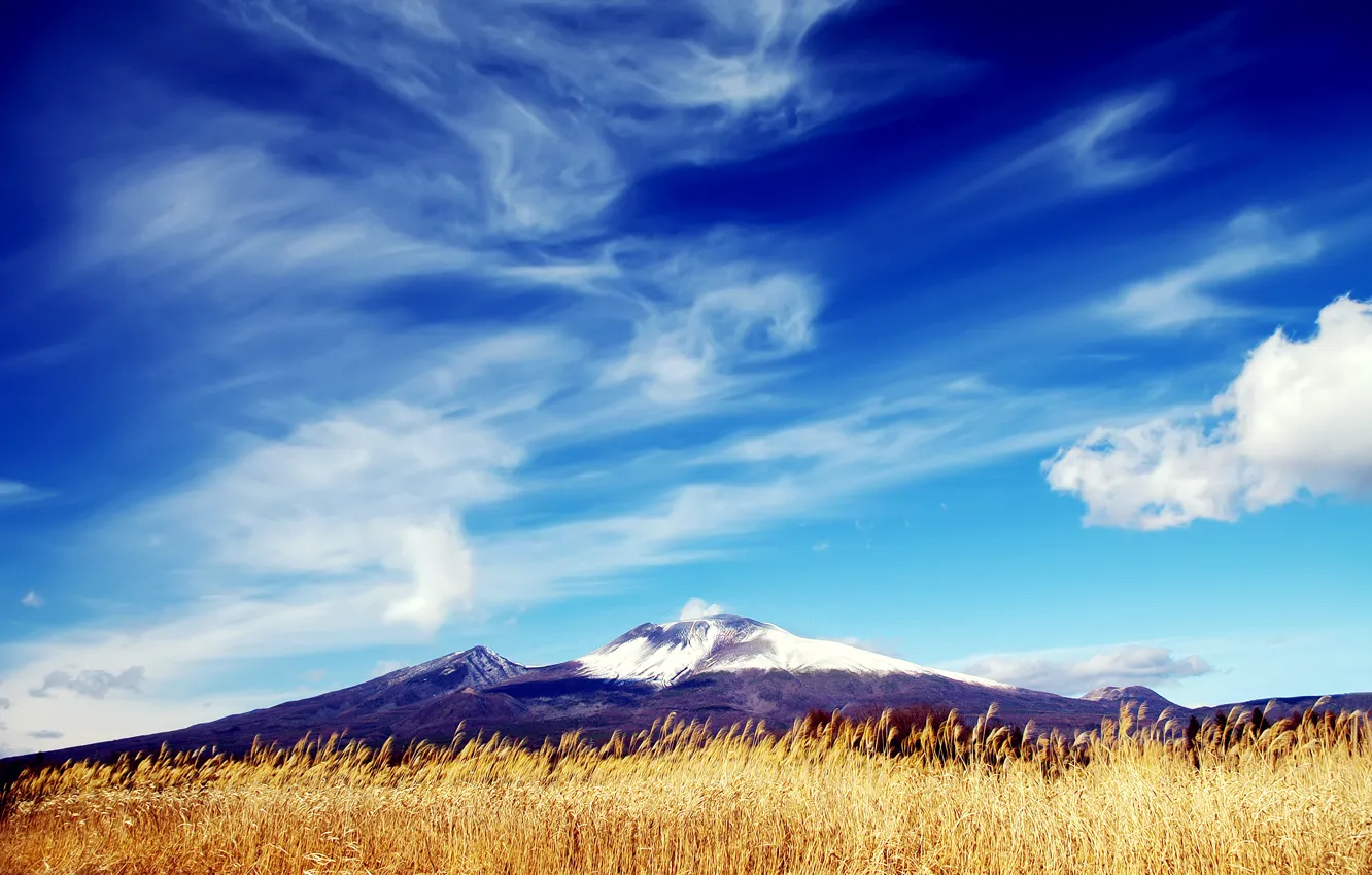 Photo wallpaper field, the sky, grass, clouds, snow, mountains, peak, Dry