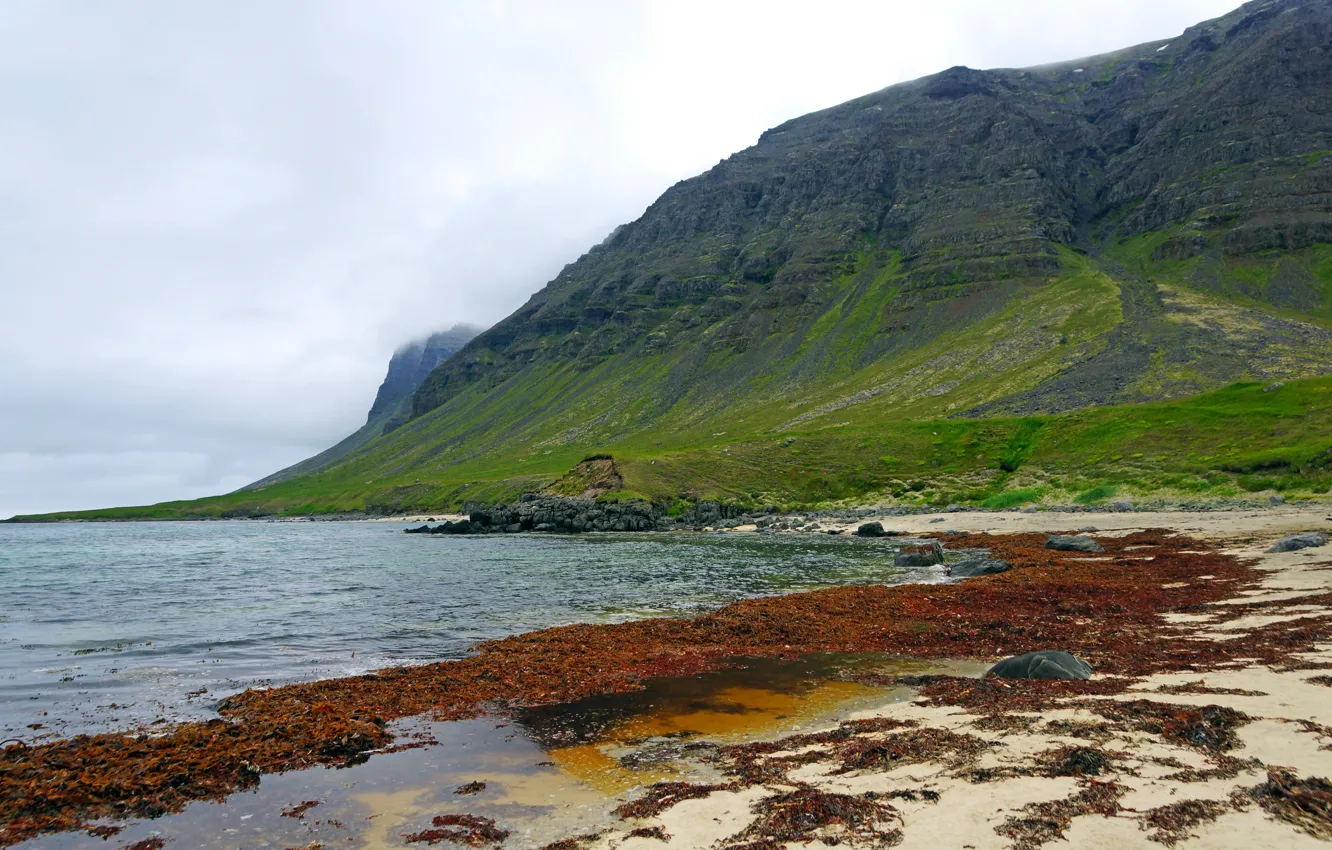 Photo wallpaper sea, clouds, stones, overcast, rocks, coast, Iceland, Westfjords