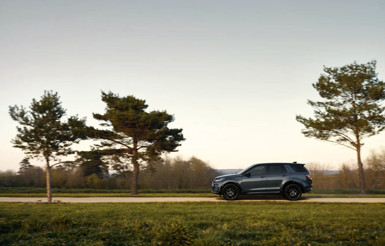 Photo wallpaper the sky, trees, SUV, Land Rover, side view, land Rover, Land Rover Discovery Sport HSE