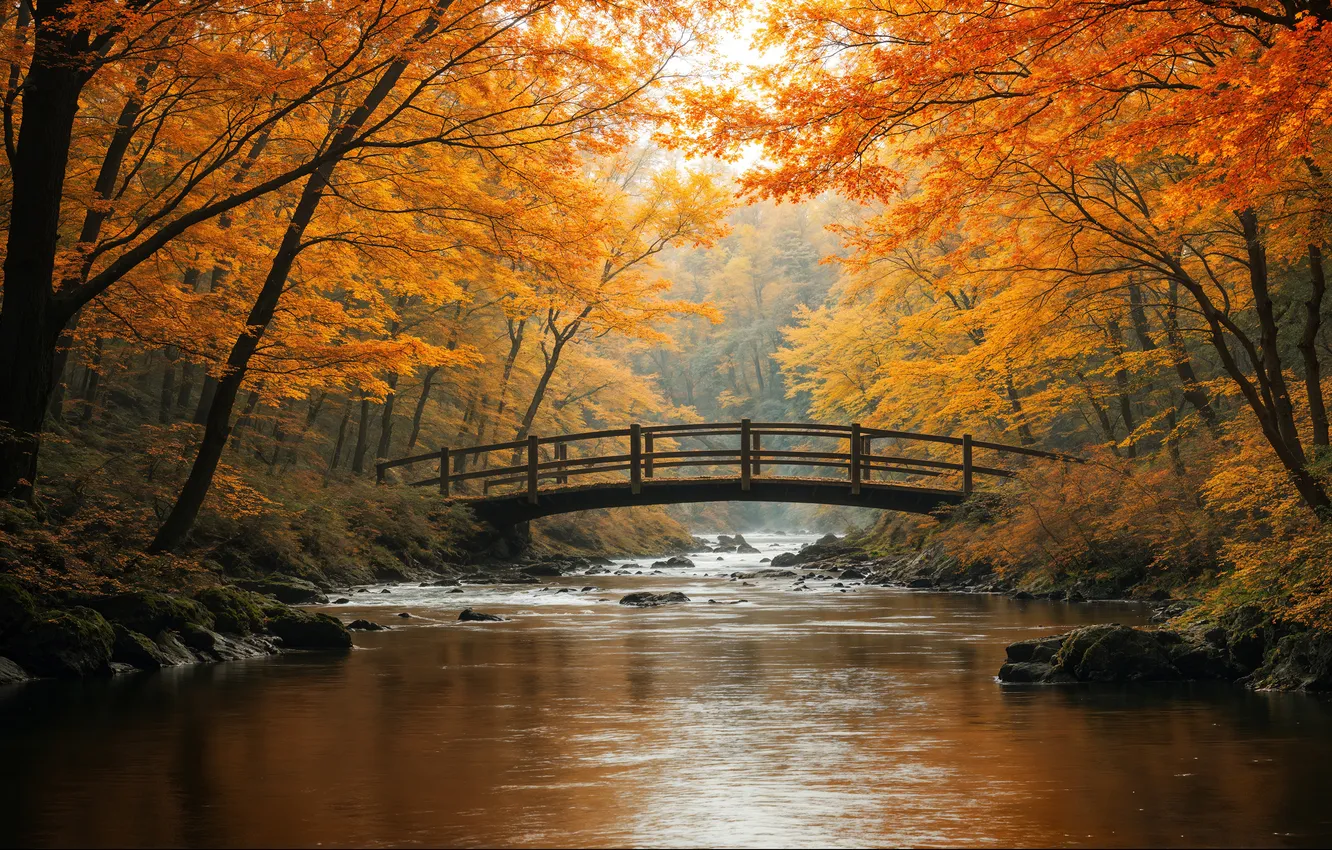 Photo wallpaper autumn, forest, trees, branches, bridge, Park, river, stones