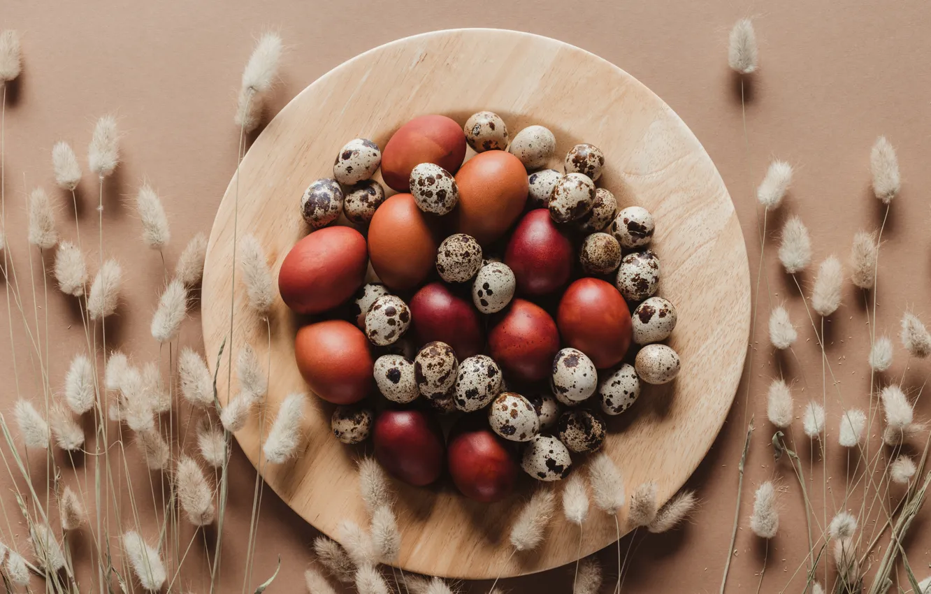 Photo wallpaper sprig, holiday, eggs, Easter