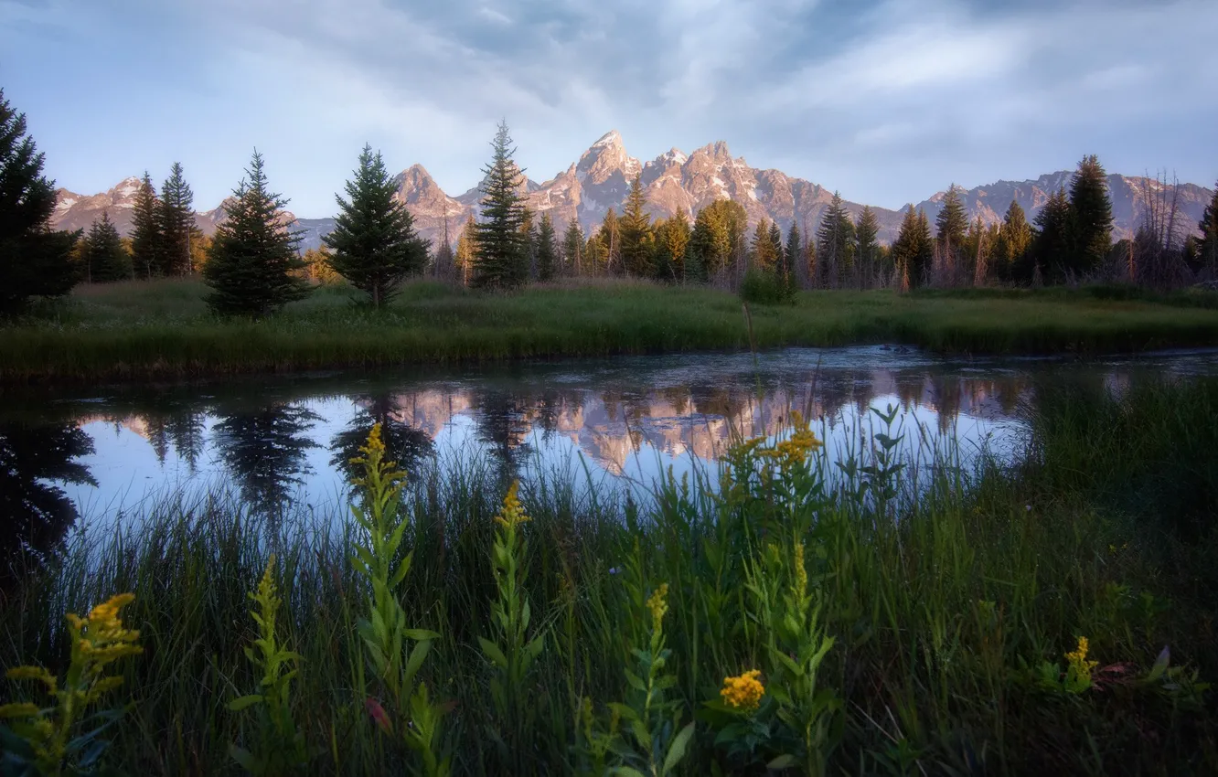 Photo wallpaper trees, mountains, nature, meadow