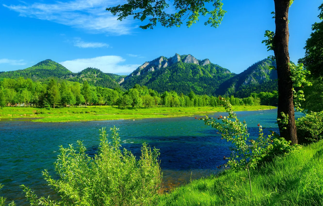 Photo wallpaper forest, river, mountains, blue sky, Poland, green grass, Dunajec