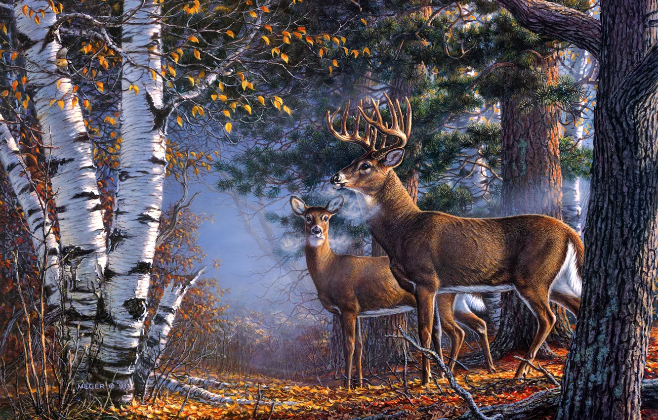 Photo wallpaper autumn, forest, figure, picture, art, pair, painting, deer