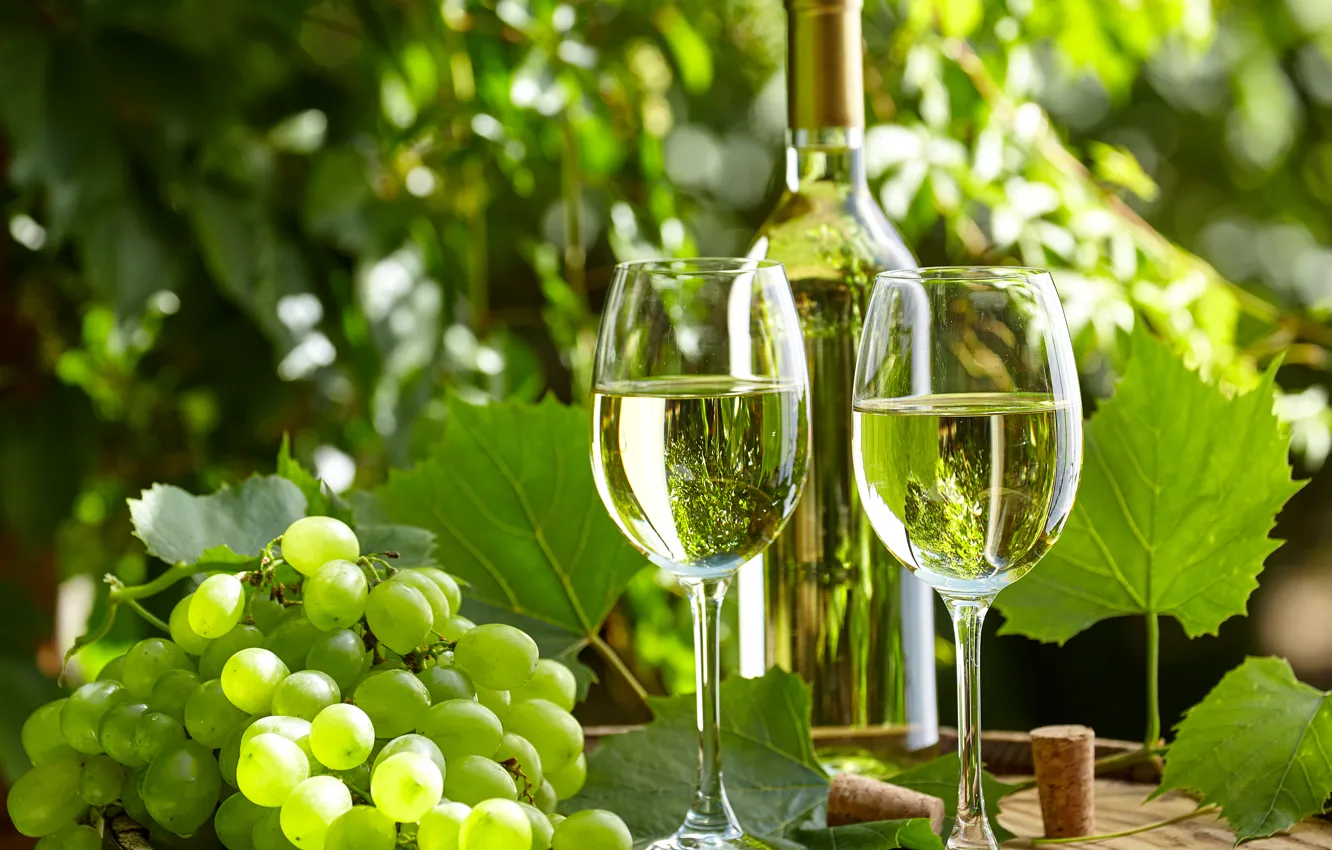 Photo wallpaper greens, leaves, wine, bottle, garden, glasses, grapes, tube