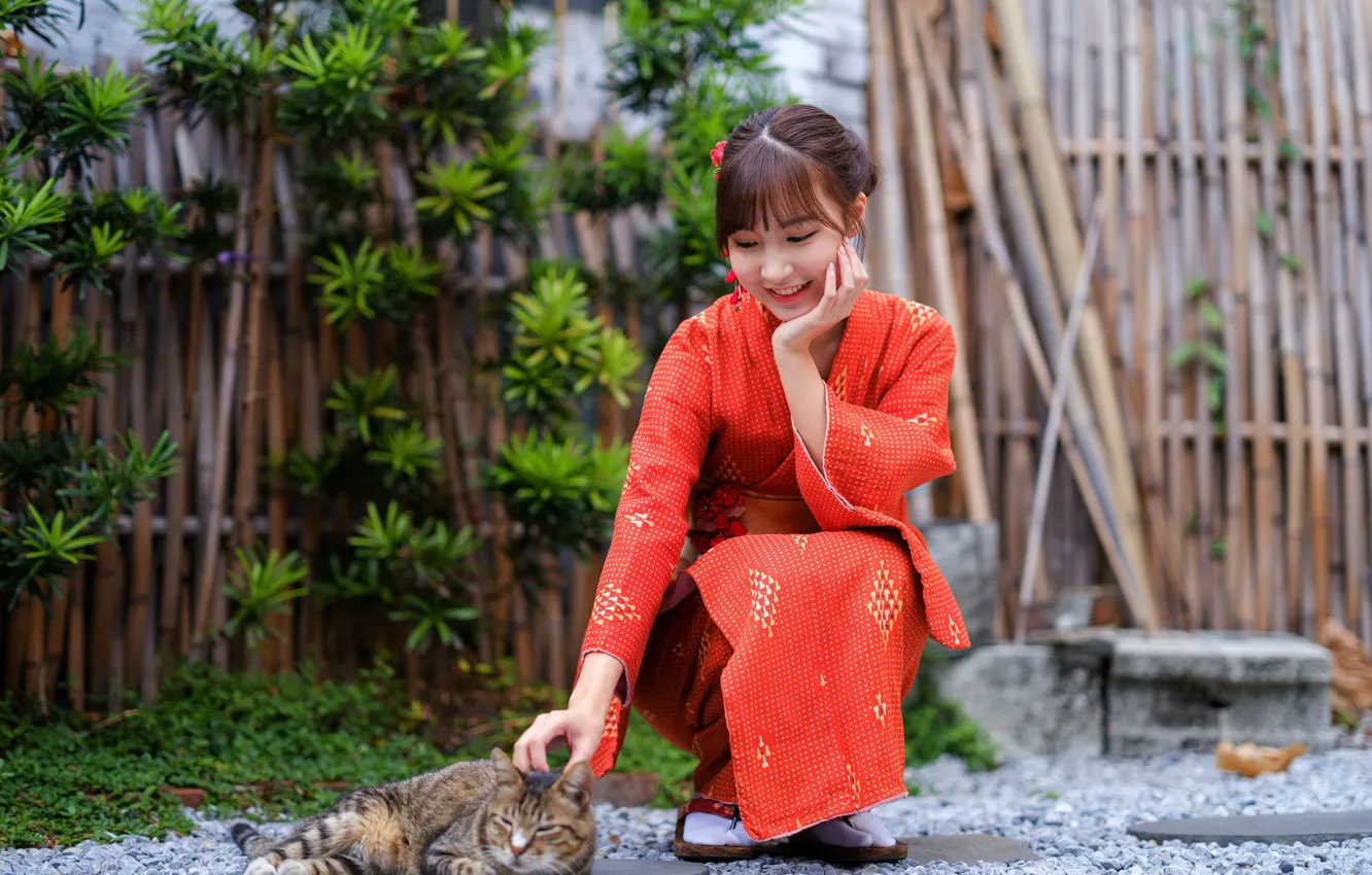 Photo wallpaper cat, pose, model, the fence, portrait, makeup, hairstyle, yard