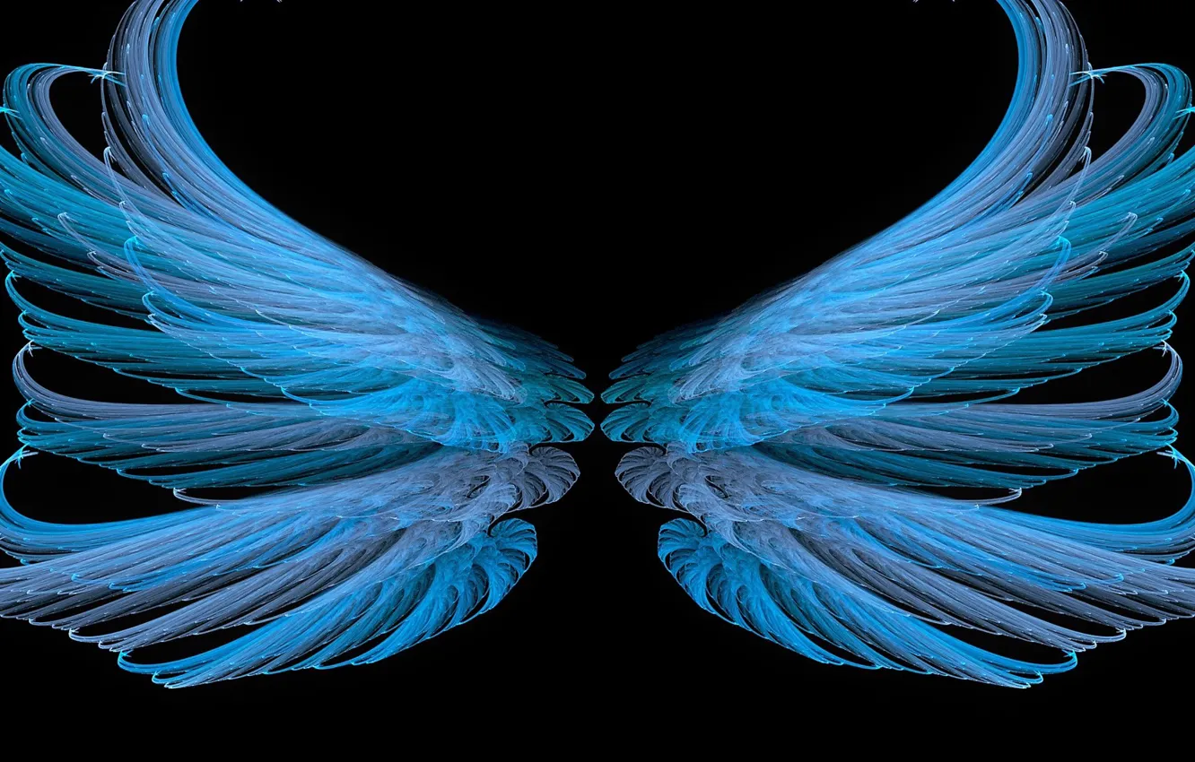 Photo wallpaper background, pattern, wings