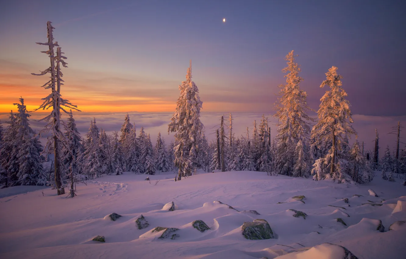 Photo wallpaper winter, sunset, nature