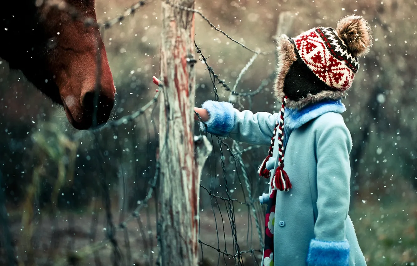 Photo wallpaper winter, snow, mood, mesh, horse, the fence, girl