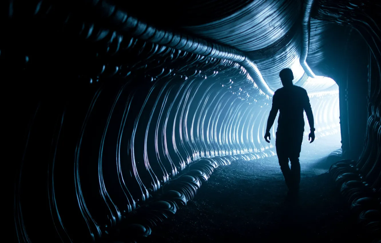 Photo wallpaper cinema, alien, police, movie, film, silhouette, cop, Alien: Covenant