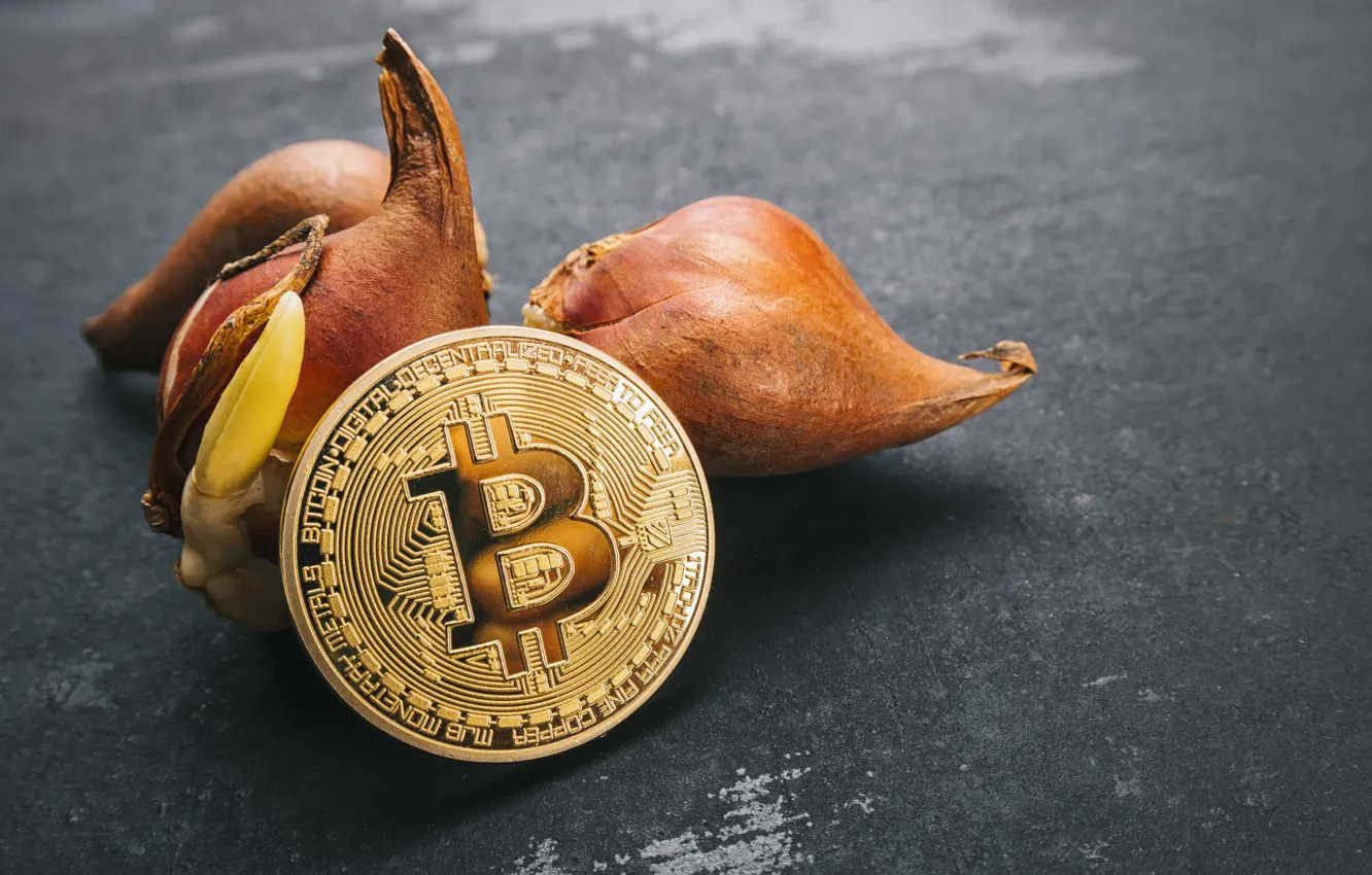 Photo wallpaper gold, coin, bitcoin