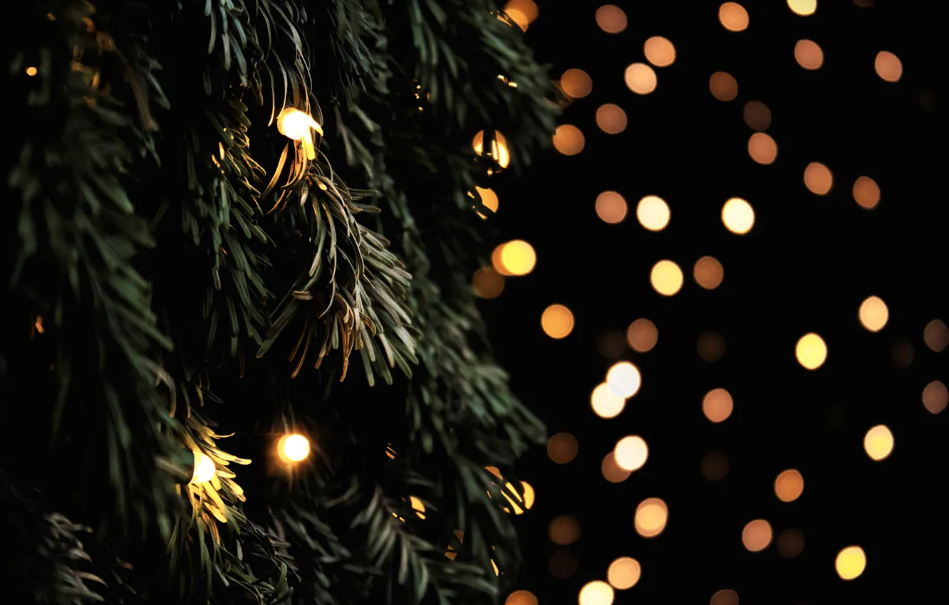 Photo wallpaper branches, yellow, lights, tree, spruce, garland, bokeh