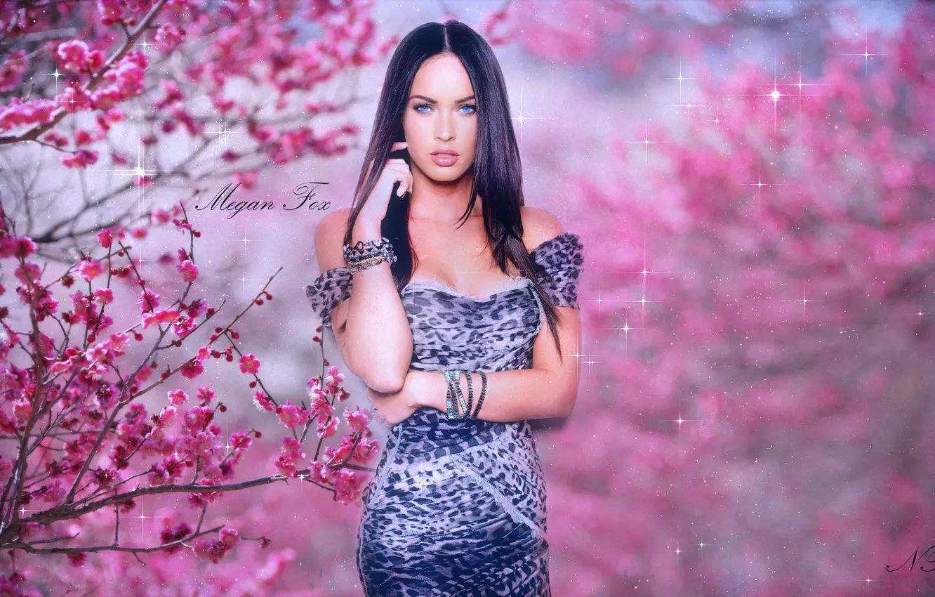 Photo wallpaper girl, Megan Fox, Megan Fox