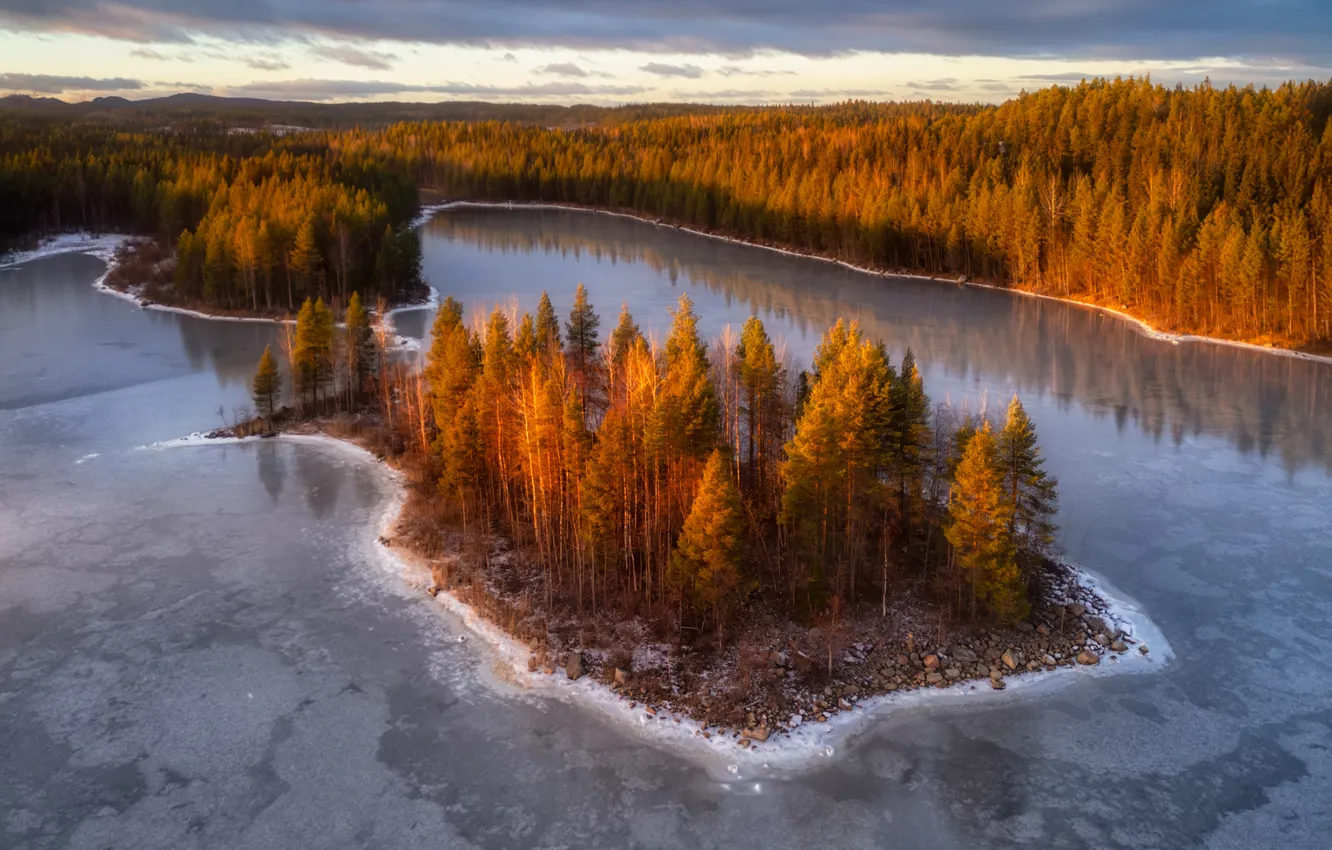 Photo wallpaper trees, island, late autumn, Mikhail Kharitonychev