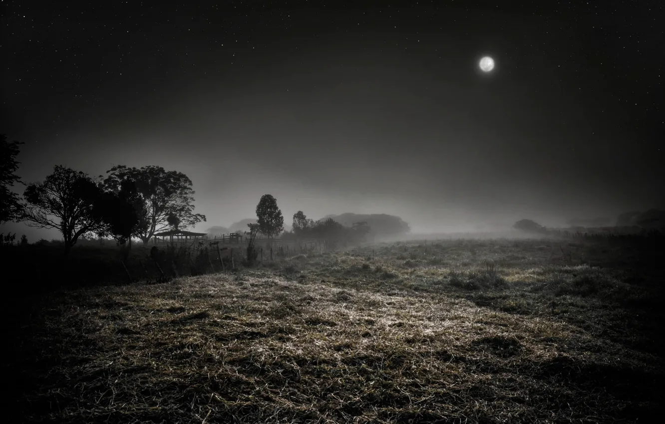 Photo wallpaper night, fog, the moon, stars