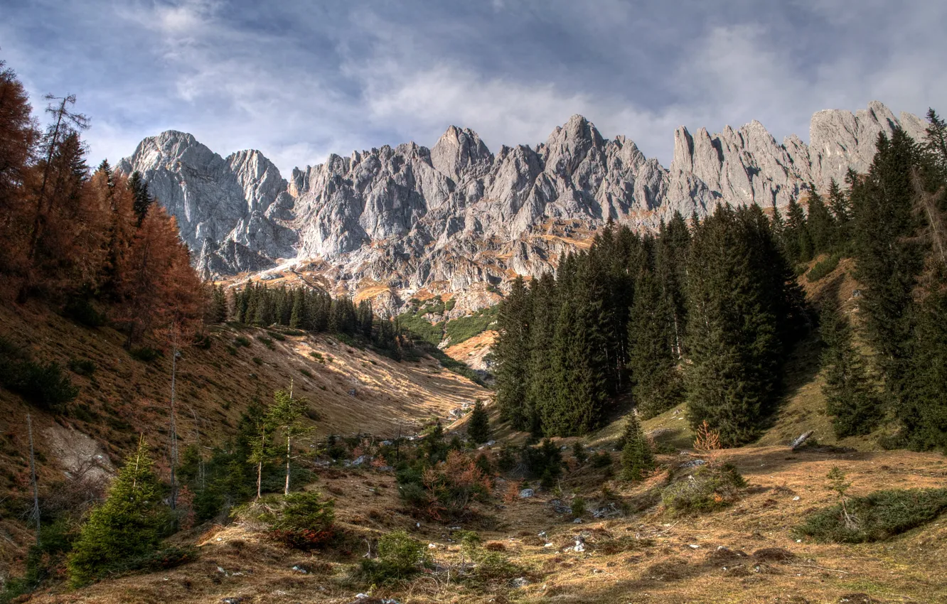Photo wallpaper forest, landscape, mountains, nature, rock, Alps, Austrian