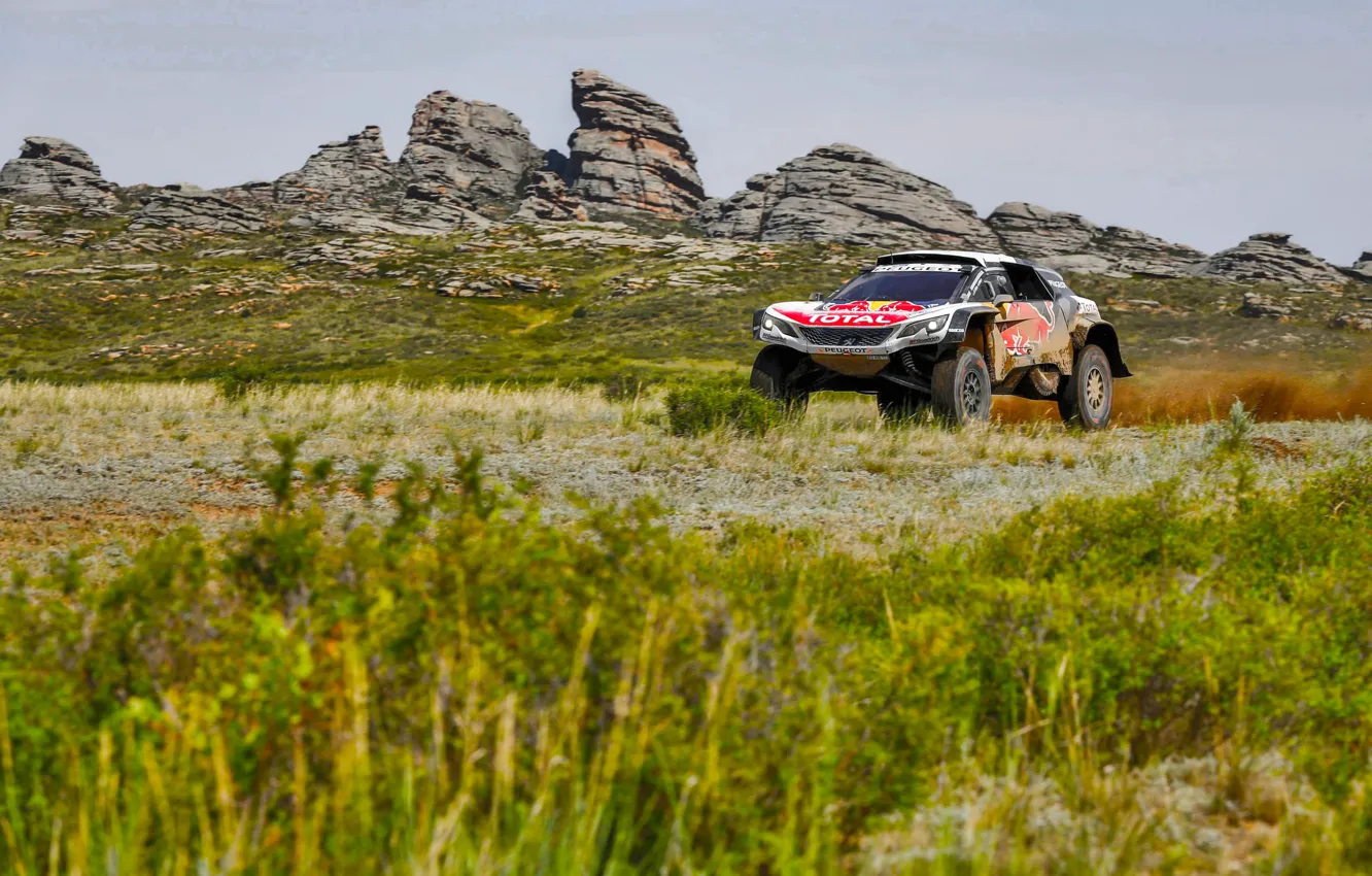Photo wallpaper Grass, Rocks, Sport, Speed, Race, Dirt, Peugeot, Lights