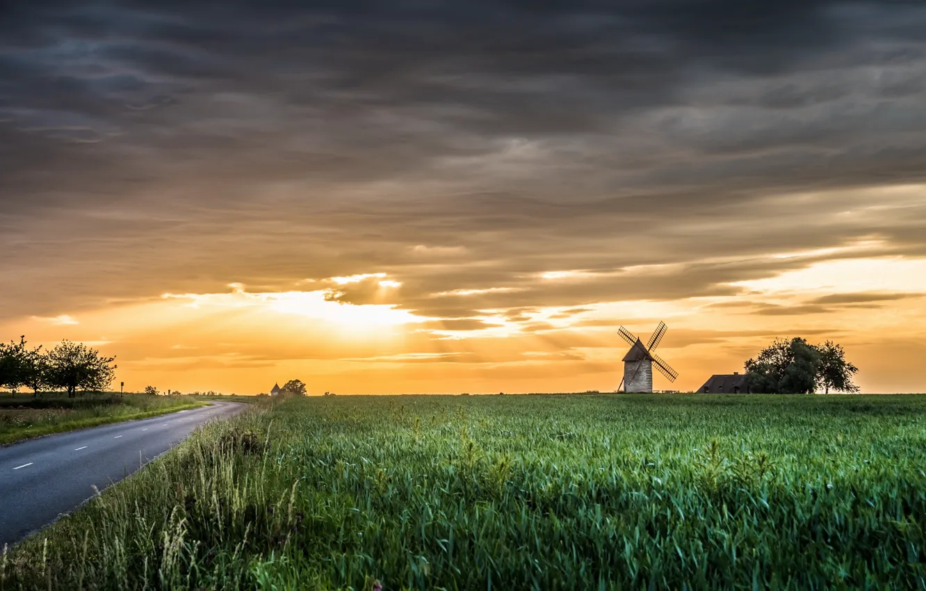 Photo wallpaper road, sunset, mill