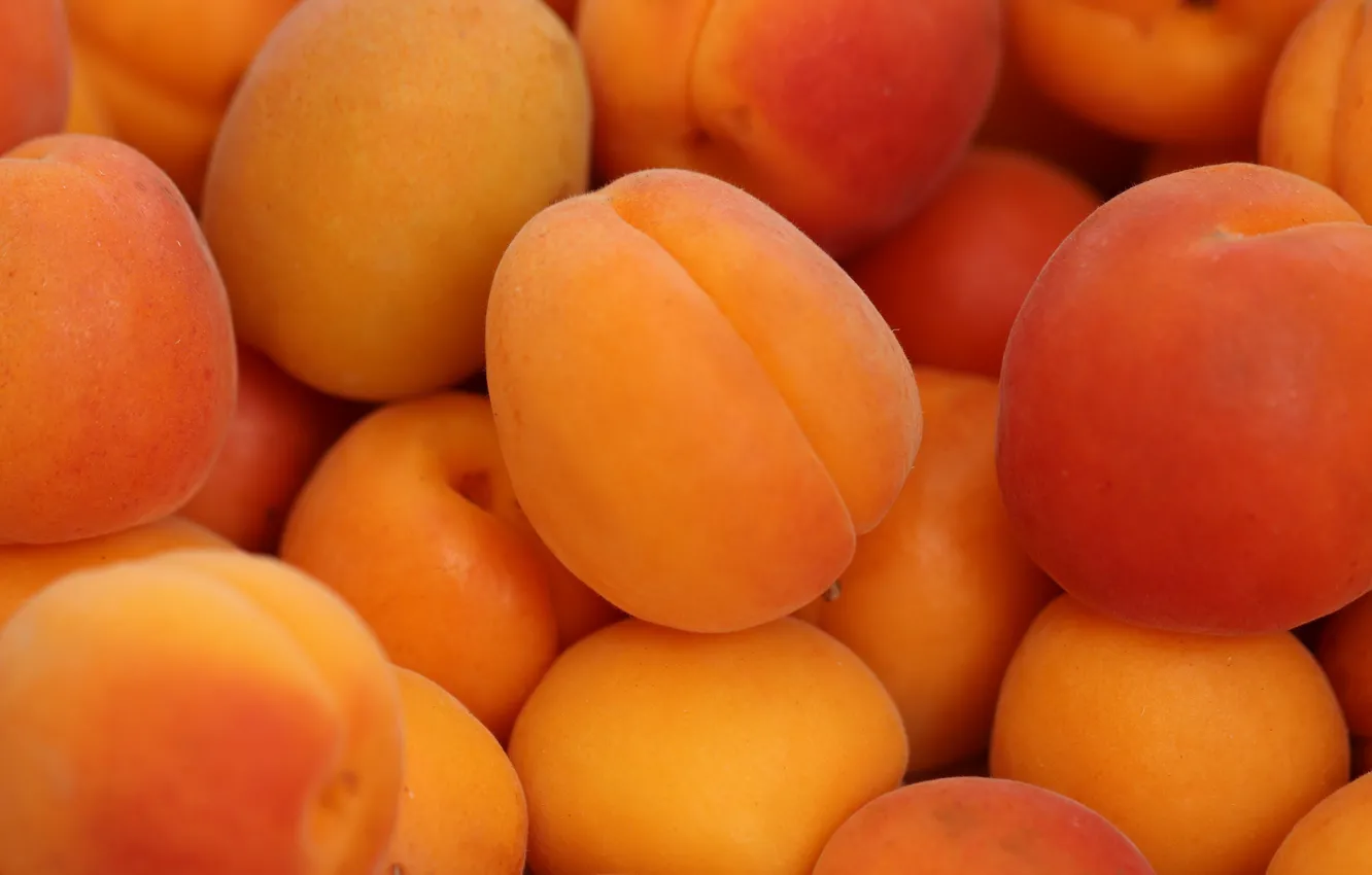 Photo wallpaper close-up, food, fruit, a lot, ripe, apricots