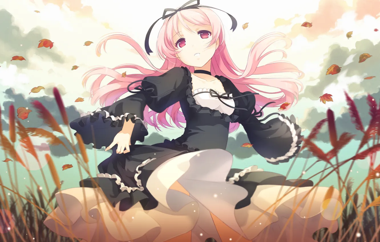 Photo wallpaper field, autumn, look, girl, ears