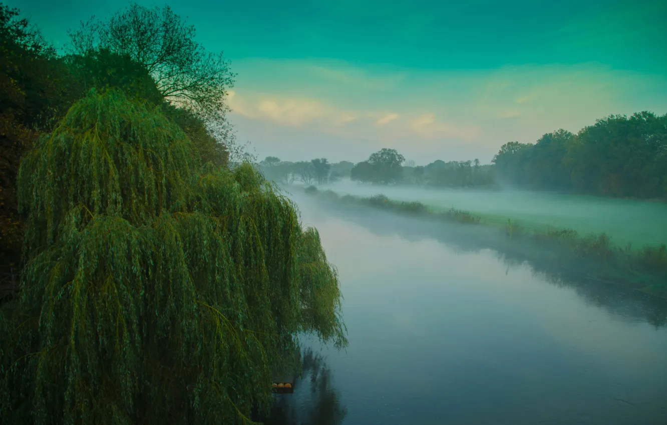 Photo wallpaper the sky, trees, fog, river, morning