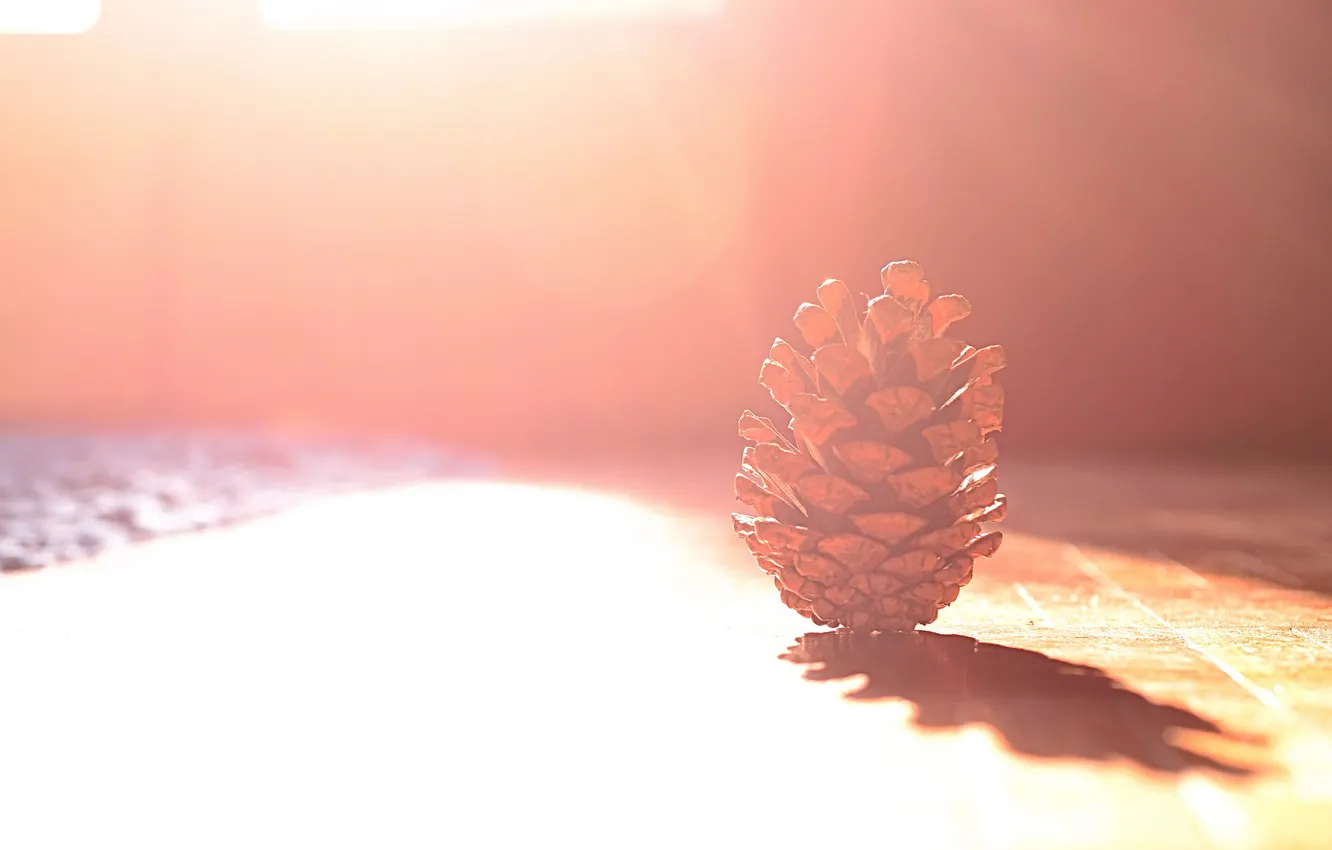 Photo wallpaper macro, light, bumps