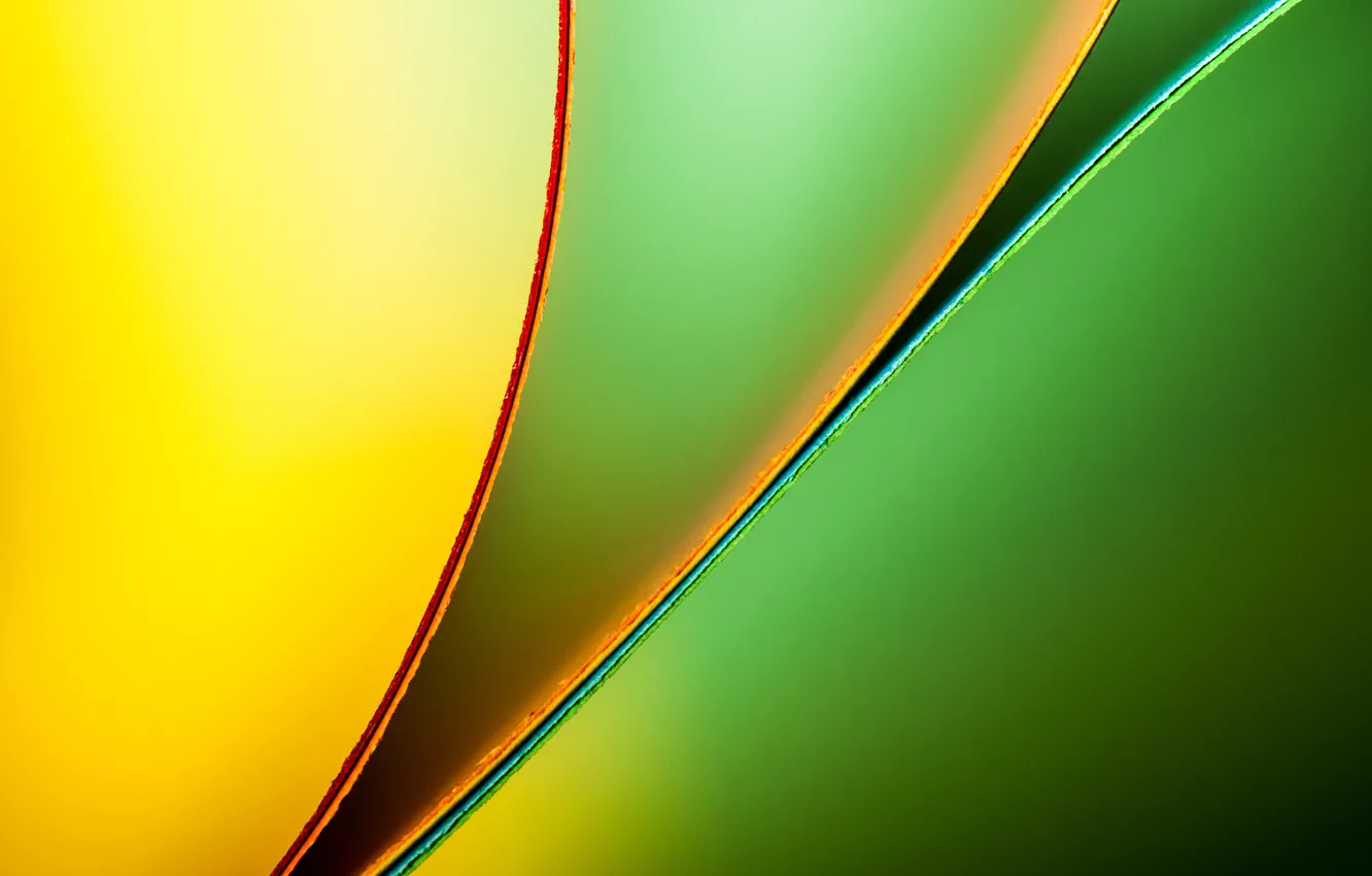 Photo wallpaper macro, sheet, paper, color, bending