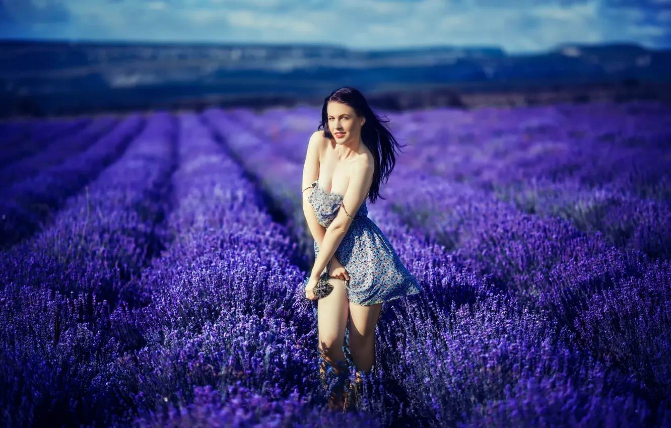 Photo wallpaper field, girl, flowers, neckline, legs, lavender, Katrina Blue