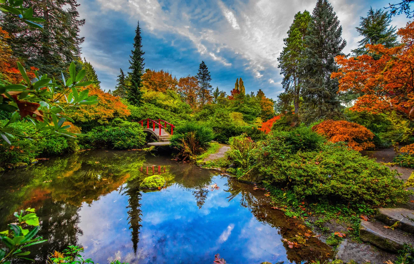 Photo wallpaper autumn, trees, bridge, pond, reflection, Seattle, the bushes, Japanese garden