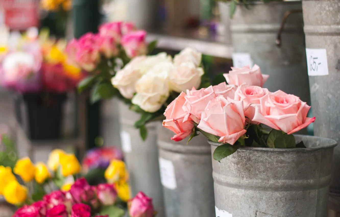 Photo wallpaper flowers, roses, bucket, pink